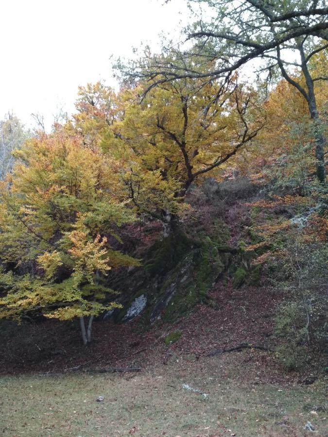 La Casa Emboscada Βίλα Horcajo de la Sierra Εξωτερικό φωτογραφία